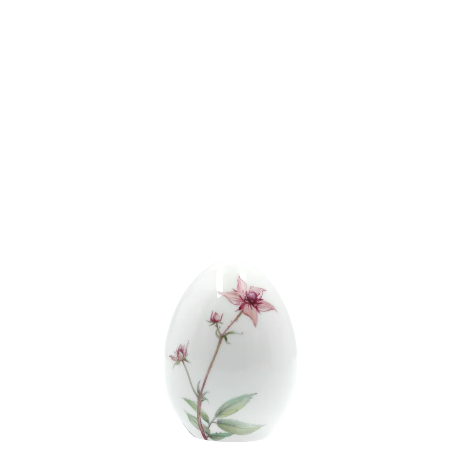 Standei - Image 4